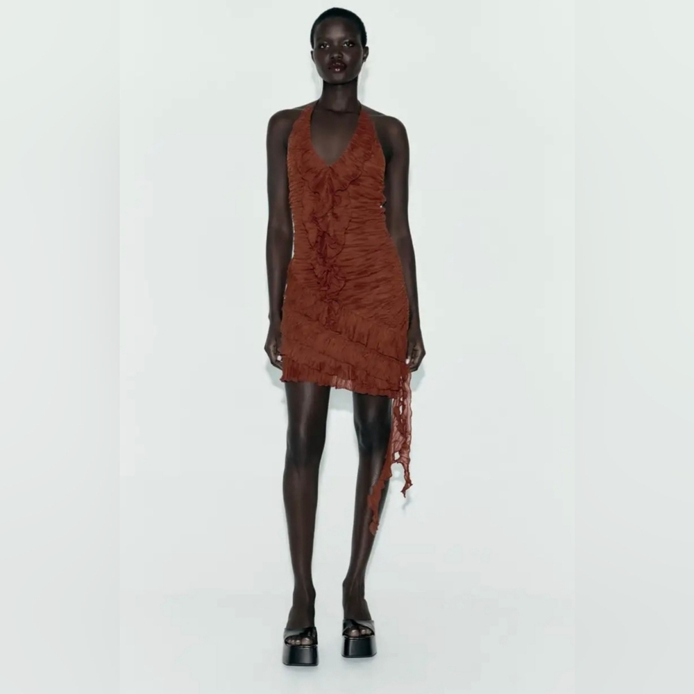 NWT Zara Ruffled Dress